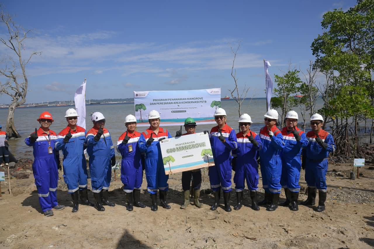 Program Pertamina Trans Kontinental Berhasil Tingkatkan Keanekaragaman Hayati Kawasan Mangrove Kariangau