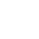 Statistic Icon