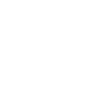 Statistic Icon